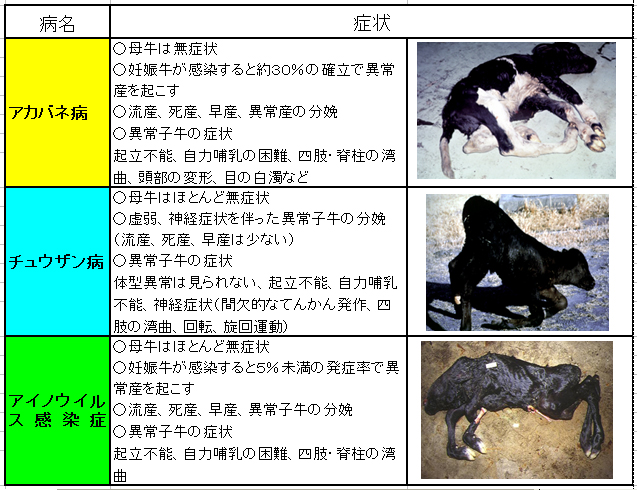 異常産を起こすウイルス性伝染病の画像