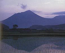 早苗の頃