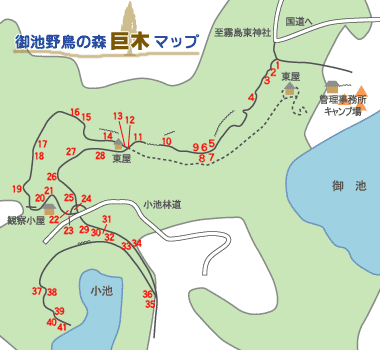 御池野鳥の森巨木マップ