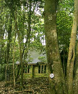 野鳥観察小屋の写真