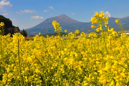たかちほのみねの写真１２