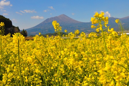 たかちほのみねの写真１２