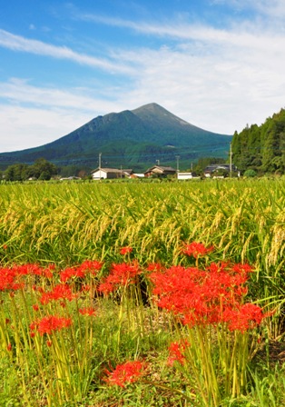 たかちほのみねの写真２１