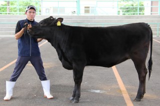宮崎牛を日本一に！全国和牛能力共進会に向けた高校生の挑戦