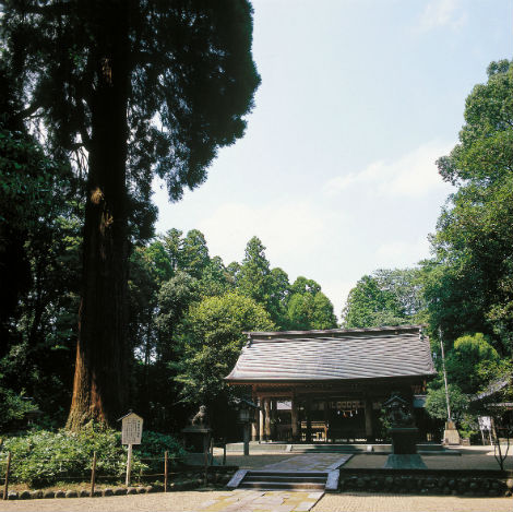 神社 高原町