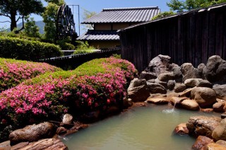 含鉄泉の泉質と効果について