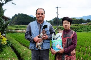 合鴨は大事な存在～合鴨農法の米作りを続ける努力と工夫をレポ～