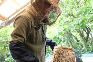 家族の絆で上質なはちみつを～ふるさと納税で人気の“国産はちみつ”をレポ〜の写真