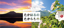 ふるさと納税