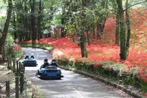 1.2kmの大自然の中を走るゴーカート（小中学生や大人も楽しめます）1人用300円、2人用500円