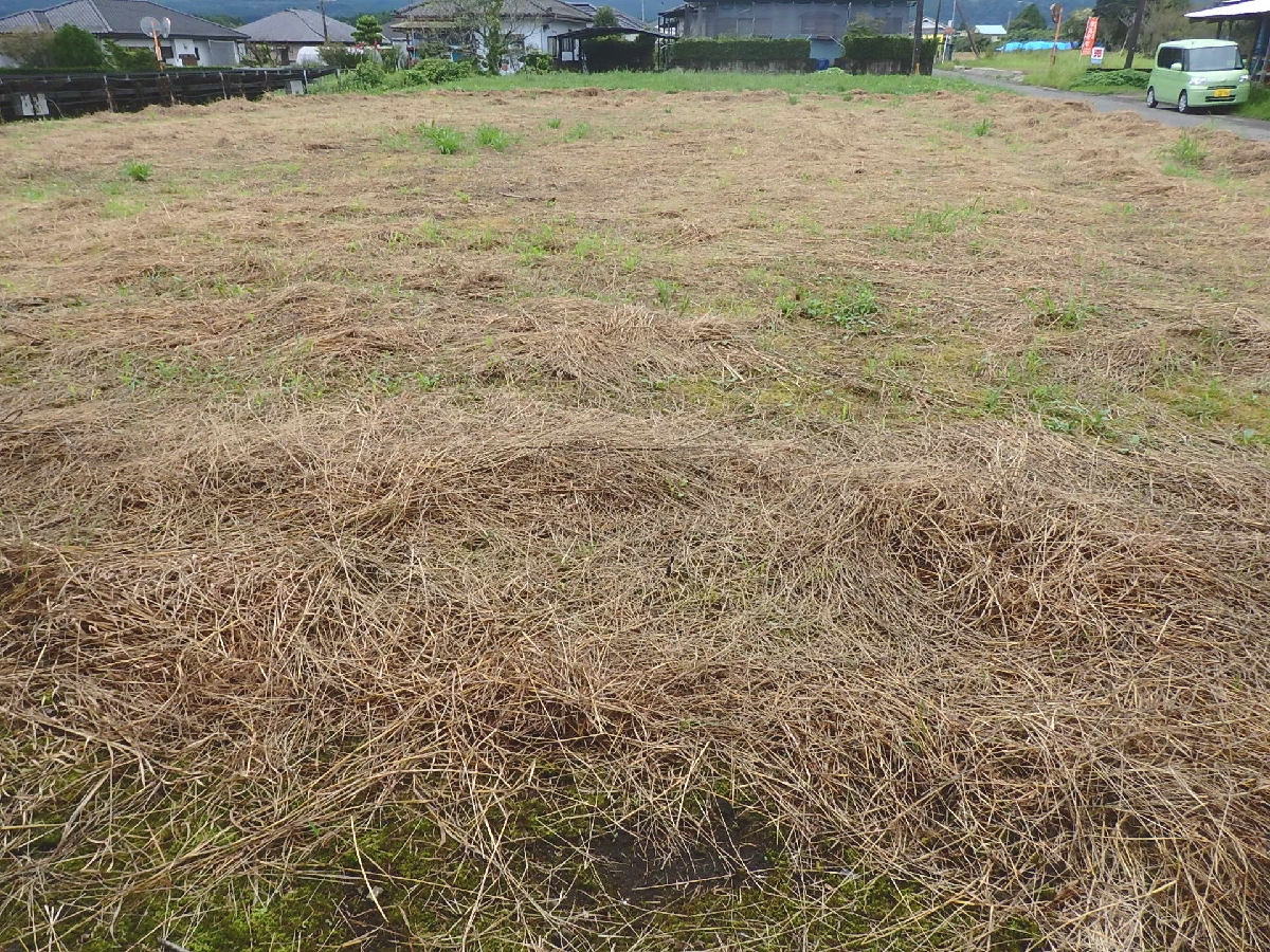 A03-06 【敷地174坪】2区画分の広々とした空き地外観3