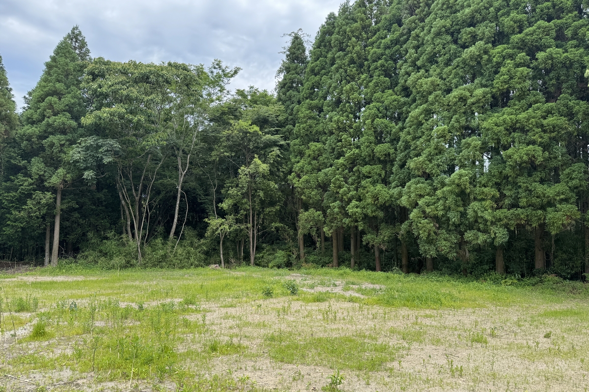 A03-05 土地の内側から撮影した写真(2)