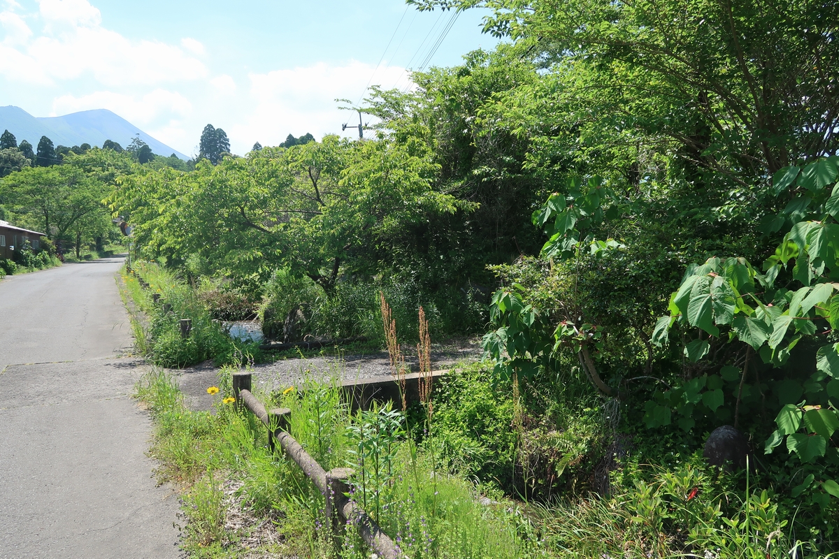 A06-03 土地の入り口写真(水路・小川脇)