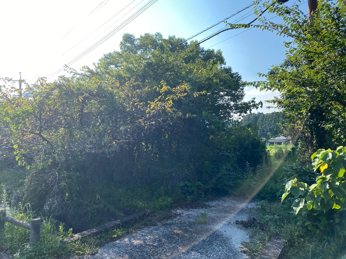 A06-04 土地の入り口正面