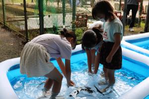 ニジマスつかみ